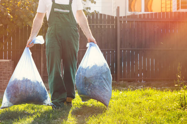 Best Electronics and E-Waste Disposal  in Lake Shore, MD